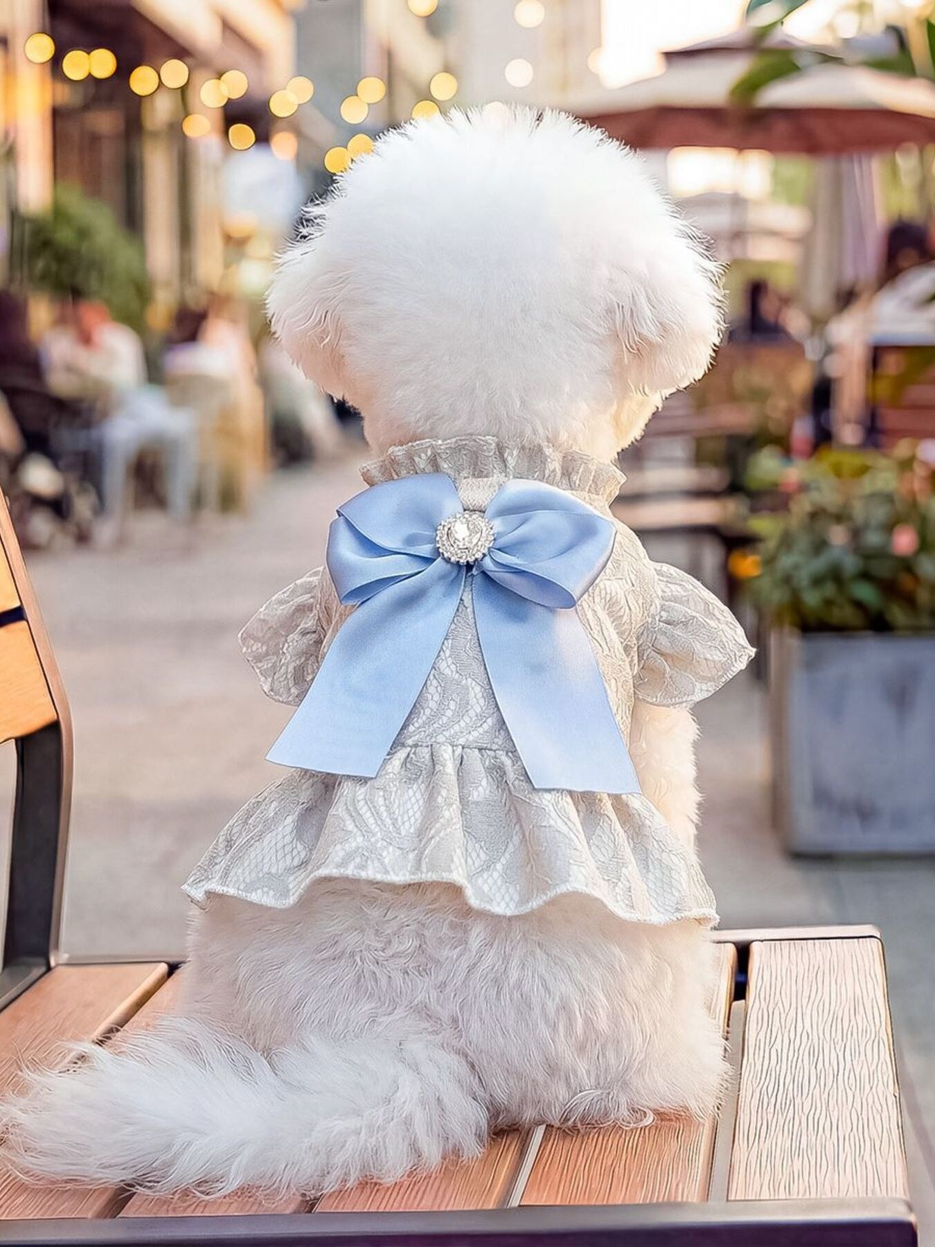 Ruffled Lace Pet Dress with Bow Secondary image