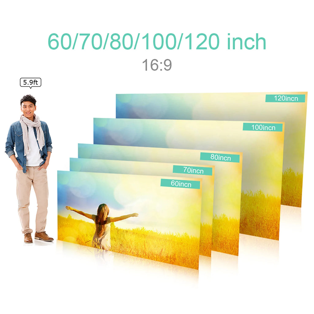Portable Anti-Light Projector Screen