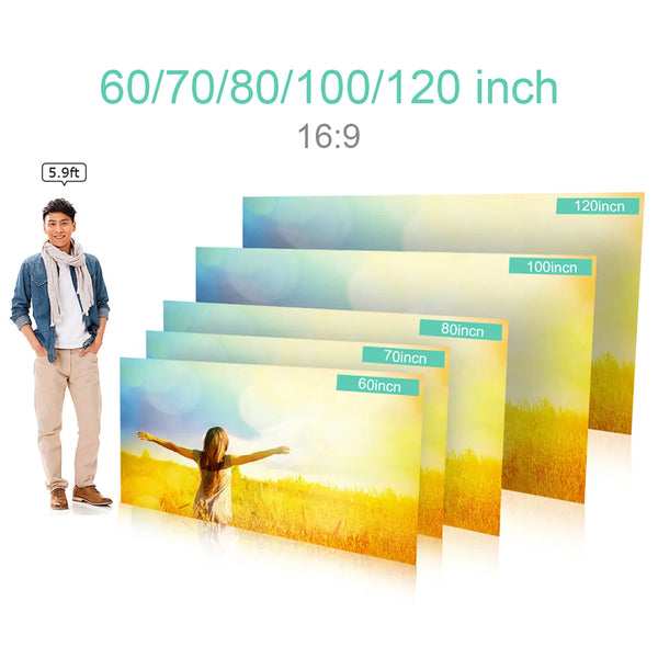 Portable Anti-Light Projector Screen