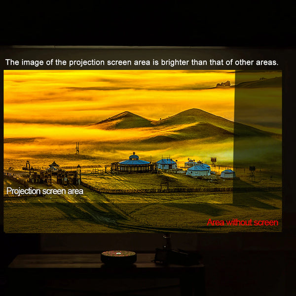 Portable Anti-Light Projector Screen