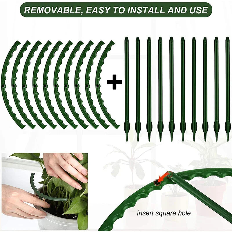 Plant Support Stakes (Set of 8)