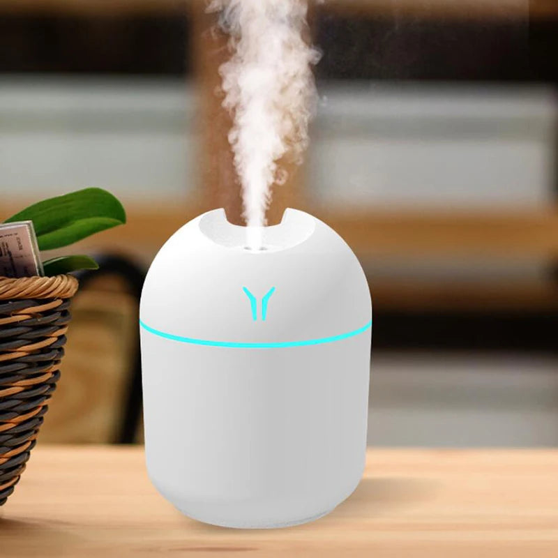 Mini USB Cool Mist Humidifier & Essential Oil Diffuser with LED Light