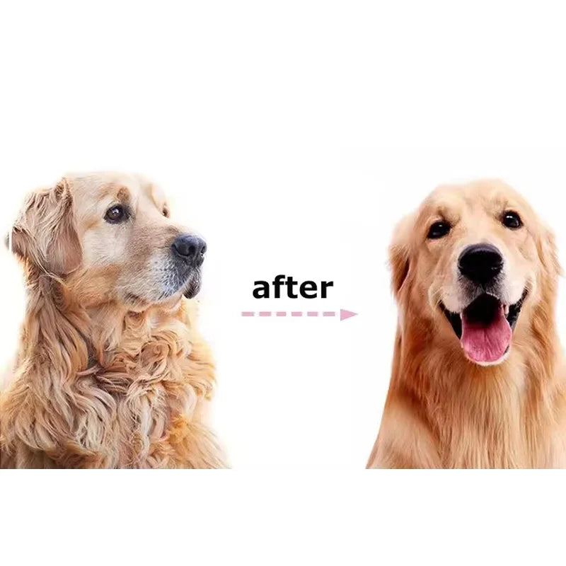 Pet Deshedding & Dematting Grooming Brush