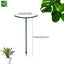 Plant Support Stakes (Set of 8)