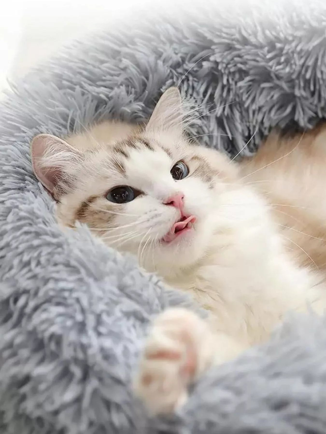 Fluffy Plush Donut Pet Bed Secondary image