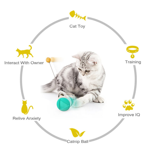 Interactive Rocking & Spinning Cat Toy