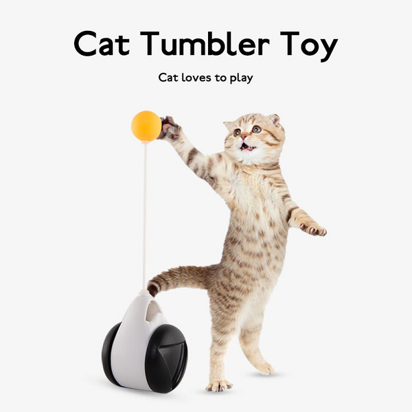 Interactive Rocking & Spinning Cat Toy