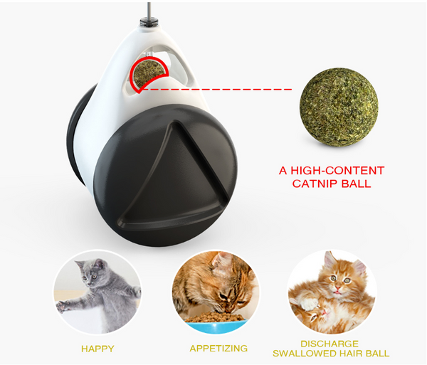 Interactive Rocking & Spinning Cat Toy